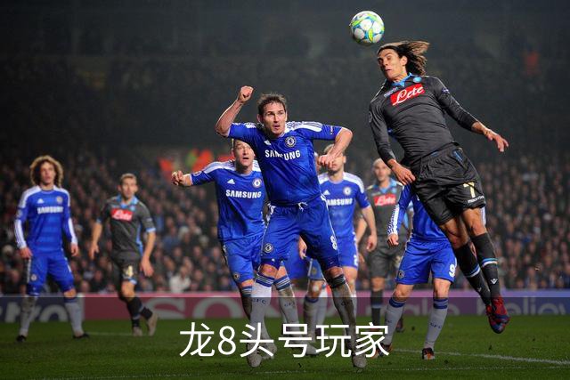 龙8头号玩家公司简介